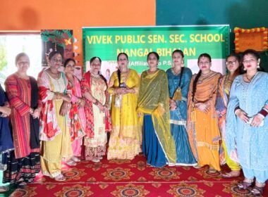 Teej At Vivek Public School